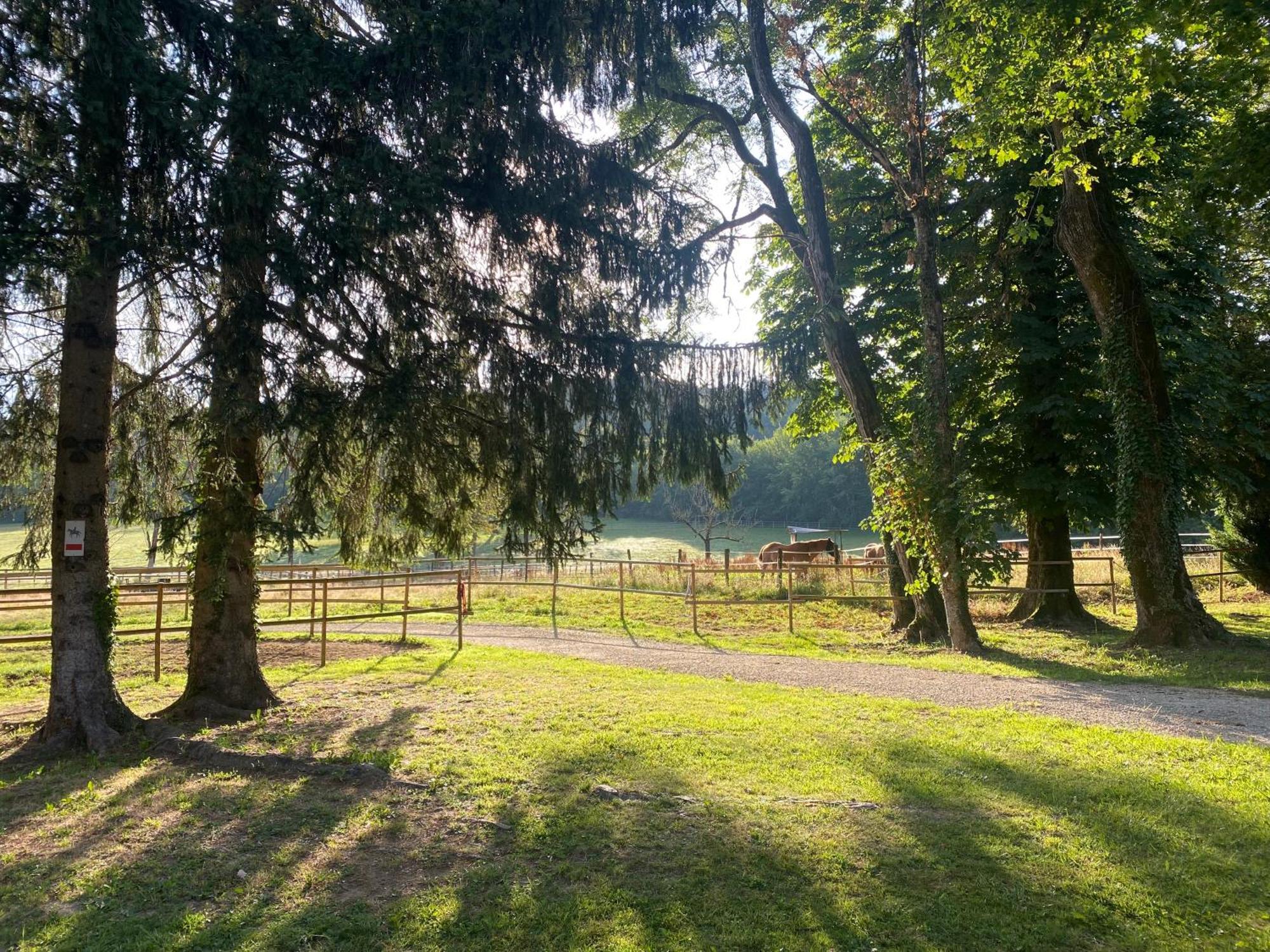 Bed and Breakfast Le Colombier De Malpas Quingey Esterno foto